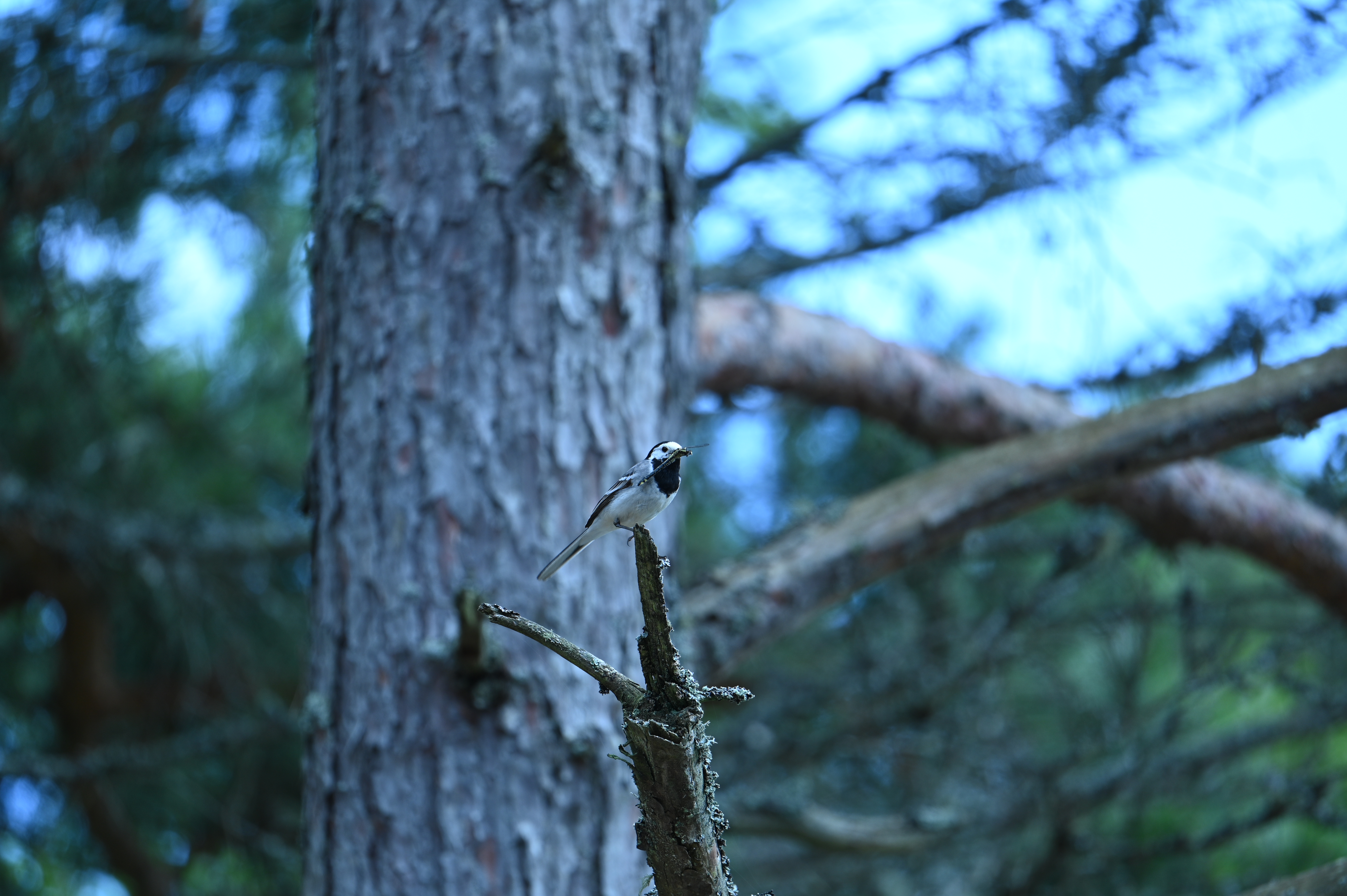 2025/07/09-14 - trip/DSC_0424.JPG